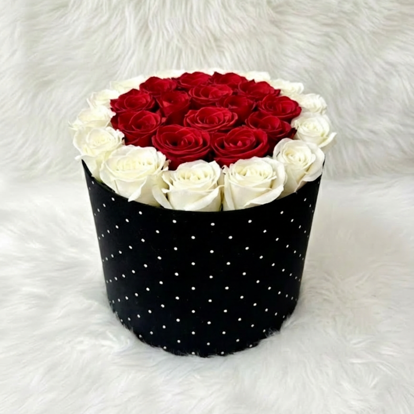 Premium Red and White Rose in Luxury Dotted Velvet Round Box